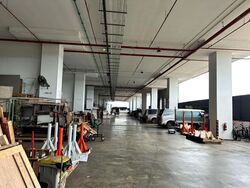 Loyang Enterprise Building (D17), Factory #592341231